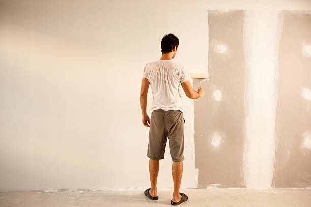 Best Drywall Repair  in USA